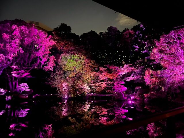 今夜は、今年最大のスーパームーン。
空を見上げるだけで、秋の深まりを感じる特別な夜ですね。

友泉亭公園では、春・夏・秋・冬をテーマにした
プロジェクションマッピングイベント「もみじの宴」を開催中です。

静かな夜のひとときを、
ぜひ友泉亭公園でお過ごしください。

▼イベント概要
友泉亭公園 プロジェクションマッピング「もみじの宴」
春夏秋冬2025 〜庭園を舞う七つの音色〜

・期間：2025年10月5日(日)〜11月24日(月・祝)
・時間：18:00〜21:00（開催期間中は無休）
・料金：大人1,000円／中高生700円／小学生500円／幼児無料（すべて税込・入園料込）
・場所：友泉亭公園（福岡市城南区友泉亭1-46）

静寂の庭園に光と音が舞う、秋の夜のひとときをお楽しみください。

＝＝＝＝＝＝＝＝＝＝＝＝＝＝＝＝

Projection Mapping at Yusentei Park — “Momiji no Utage”
Four Seasons 2025: Seven Melodies Dancing in the Garden

・Dates: October 5 – November 24, 2025
・Time: 6:00 PM – 9:00 PM (Open daily during the event)
・Tickets (available at the entrance):
-Adults: ¥1,000
-Junior high & high school students: ¥700
-Elementary school students: ¥500
-Preschool children: Free
・Venue: Yusentei Park(1-46 Yusentei, Jonan-ku, Fukuoka City, Japan)

Experience a magical autumn night surrounded by lights, music, and the timeless beauty of a Japanese garden.

#もみじの宴 #友泉亭公園 #プロジェクションマッピング #福岡イベント #福岡観光 #秋の夜長 #紅葉ライトアップ #夜の庭園 #YusenteiPark #ProjectionMapping