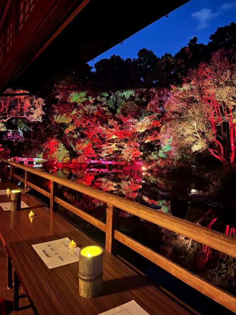 日が暮れるのが早くなってきましたね。
秋の夜は少し肌寒いけれど、その分、空気が澄んで景色がいっそう美しく感じられます。

友泉亭公園のプロジェクションマッピングイベント「もみじの宴」は、夜になってからが本番です。

三連休の方も、そうでない方も、
一日の終わりに、少し足をのばして秋の光景を楽しんでみませんか。

光と音が織りなす幻想的な庭園で、きっと心に残る夜になるはずです。

▼イベント概要
友泉亭公園 プロジェクションマッピング「もみじの宴」
春夏秋冬2025 〜庭園を舞う七つの音色〜

・期間：2025年10月5日(日)〜11月24日(月・祝)
・時間：18:00〜21:00（開催期間中は無休）
・料金：大人1,000円／中高生700円／小学生500円／幼児無料（すべて税込・入園料込）
・場所：友泉亭公園（福岡市城南区友泉亭1-46）

静寂の庭園に光と音が舞う、秋の夜のひとときをお楽しみください。

＝＝＝＝＝＝＝＝＝＝＝＝＝＝＝＝

Projection Mapping at Yusentei Park — “Momiji no Utage”
Four Seasons 2025: Seven Melodies Dancing in the Garden

・Dates: October 5 – November 24, 2025
・Time: 6:00 PM – 9:00 PM (Open daily during the event)
・Tickets (available at the entrance):
-Adults: ¥1,000
-Junior high & high school students: ¥700
-Elementary school students: ¥500
-Preschool children: Free
・Venue: Yusentei Park(1-46 Yusentei, Jonan-ku, Fukuoka City, Japan)

Experience a magical autumn night surrounded by lights, music, and the timeless beauty of a Japanese garden.

#もみじの宴 #友泉亭公園 #プロジェクションマッピング #福岡イベント #福岡観光 #秋の夜長 #紅葉ライトアップ #夜の庭園 #YusenteiPark #ProjectionMapping