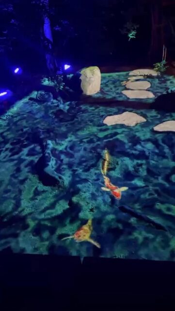 11月も半ば、日が暮れると冷たい風が頬をかすめ、秋の終わりを感じる季節になってきました。

友泉亭公園のプロジェクションマッピング「もみじの宴」では、鯉が泳ぐように映し出される美しい演出もご覧いただけます。

メインの演出ではありませんが、
静かな音楽とともにゆらめく光の鯉を眺めていると、
時がゆっくりと流れていくような、不思議な癒しに包まれます☺️

秋の夜、少し冷たい空気とあたたかな灯りのなかで、
穏やかな時間を過ごしてみませんか。

▼イベント概要
友泉亭公園 プロジェクションマッピング「もみじの宴」
春夏秋冬2025 〜庭園を舞う七つの音色〜

・期間：2025年10月5日(日)〜11月24日(月・祝)
・時間：18:00〜21:00（開催期間中は無休）
・料金：大人1,000円／中高生700円／小学生500円／幼児無料（すべて税込・入園料込）
・場所：友泉亭公園（福岡市城南区友泉亭1-46）

静寂の庭園に光と音が舞う、秋の夜のひとときをお楽しみください。

＝＝＝＝＝＝＝＝＝＝＝＝＝＝＝＝

Projection Mapping at Yusentei Park — “Momiji no Utage”
Four Seasons 2025: Seven Melodies Dancing in the Garden

・Dates: October 5 – November 24, 2025
・Time: 6:00 PM – 9:00 PM (Open daily during the event)
・Tickets (available at the entrance):
-Adults: ¥1,000
-Junior high & high school students: ¥700
-Elementary school students: ¥500
-Preschool children: Free
・Venue: Yusentei Park(1-46 Yusentei, Jonan-ku, Fukuoka City, Japan)

Experience a magical autumn night surrounded by lights, music, and the timeless beauty of a Japanese garden.

#もみじの宴 #友泉亭公園 #プロジェクションマッピング #福岡イベント #福岡観光 #秋の夜長 #紅葉ライトアップ #夜の庭園 #YusenteiPark #ProjectionMapping #鯉 #友泉亭