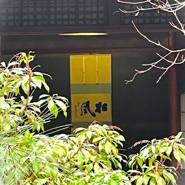 松風園より～感謝を込めて～
たくさんの皆さまに足をお運びいただきまして、誠にありがとうございました。
四季折々の景色を多くのお客さまと共に分かち合えたこと大変嬉しく思っております。
来年もこころ静かにお過ごしいただける庭園であり続けられるよう、努めて参ります。
どうぞ変わらぬご愛顧を賜りますようお願い申し上げます。
どうぞ良いお年をお迎えくださいませ
なお、２０２６年は1月2日（金）から開園致しております。
お近くにお越しの際はふらりとお立ち寄り頂けると嬉しいです。
喫茶お抹茶セットなどございます。
ご来園お待ちしております。

#日本庭園
#福岡市
#おすすめ
#喫茶
#癒しの時間 
#抹茶 
#松風園
#福岡観光 
#帰省 
#散歩
#休憩