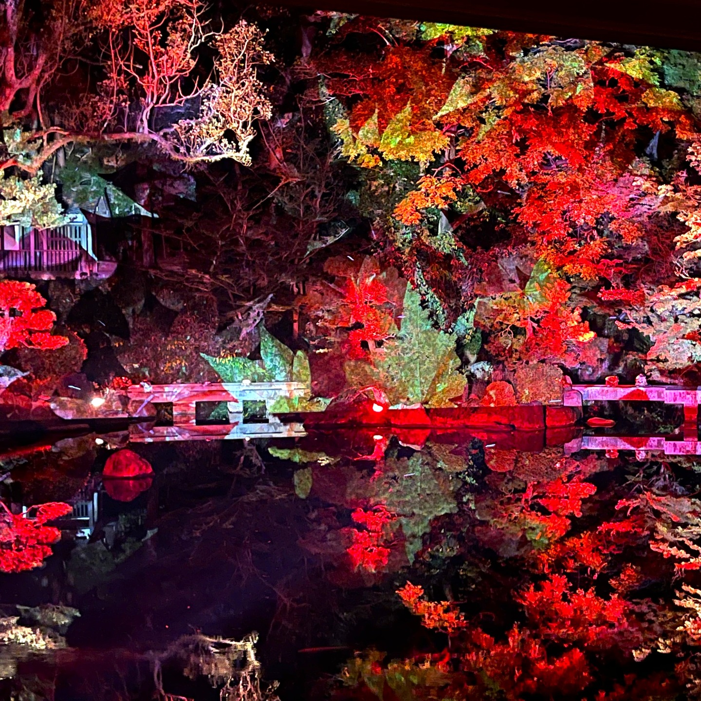 好評により12月14日まで開催期間延長
✨プロジェクションマッピング✨
福岡友泉亭公園
2025 春夏秋冬
もみじの宴
~庭園に舞う七つの音色~
もみじ狩りの季節となり、園内は連日たくさんのお客様でにぎわっております。
お昼は鮮やかな紅葉、夜は幻想的なプロジェクションマッピングをお楽しみ頂けます。
1日を通してこの季節のみの景色と光のアートをお楽しみください。
夜は冷えますので、あたたかくしてお越しくださいね。
ご来園お待ちしております。
・開催期間
2025年10月5日(日)~12月14日(日)
(開催期間中は無休)
・時間
18時~21時
・料金
大人1000円 中高生700円
小学生500円 (幼児無料)
※安全にご観覧頂く為に入場を制限する場合があります。
#プロジェクションマッピング
#紅葉スポット
#fukuoka
#福岡観光
#福岡市
#日本庭園
#きれいな
#穴場スポット
#ゆっくり
#おでかけ
#期間限定イベント
#夜景