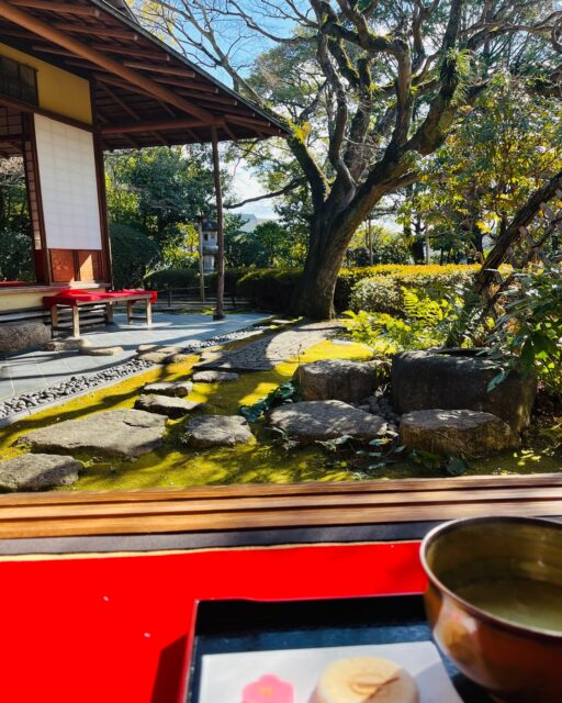松風園だより
日本庭園でいただく一服のお抹茶。
この季節冷たい空気にの中でいただくお抹茶は体の芯までじんわりと温かくしてくれます。
ゆっくりと落ち着ける場所をお探しの方には、穏やかで贅沢な時間をお過ごしいただけるのではないでしょうか
お抹茶セット・コーヒーセットなどございます。
散策の途中や旅の途中にお立ち寄りくださいませ。
お待ちしております。
松風園
福岡市中央区平尾3-28
#日本庭園
#庭園
#抹茶
#喫茶
#おすすめ
#癒しスポット
#relaxtime
#japanesegarden
#観光スポット
#fukuoka
#福岡市
#公園
#茶の湯
#日本文化