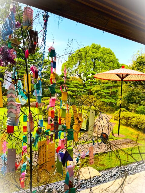 『七夕』
七夕が過ぎ、本格的に夏の訪れを感じる季節となりました。
園庭では、緑がいっそう鮮やかになり、夏ならではの涼やかな風情を
感じさせてくれています。

七夕は、一年に一度の願いごとを託す特別な日です。
ご来園の皆様よりいただいた短冊には、それぞれの願いや想いが込められ
温かな七夕飾りとなりました。
本当にありがとうございました。
皆さまの願いが夜空に届きますように…

これから夏本番！暑い日が続きますので、どうぞお身体をお気をつけてお過ごし下さい。
松風園より

#松風園
#shofuen 
#福岡
#日本庭園
#JapaneseGarden
#茶室