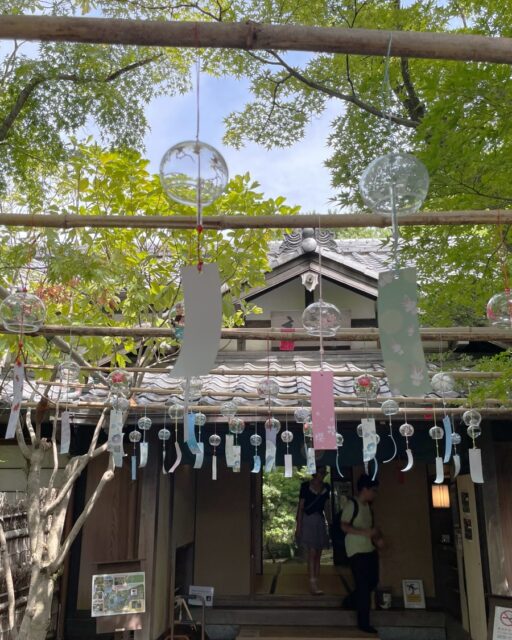 “友泉亭公園風鈴通り”

友泉亭公園では、「風鈴通」を8/1～8/31まで開催しています。
浴衣の来園者は抹茶セット（コーヒーセット）無料サービスしております。
酷暑の中、木々に囲まれた庭園で池の鯉を眺めながら、癒されにきませんか。

スタッフ一同。お待ちしております。

…友泉亭公園より

#友泉亭
#友泉亭公園 
#yusentei
#福岡
#日本庭園
#JapaneseGarden
#茶室