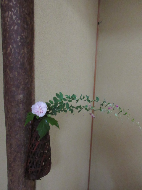 「処暑（しょしょ）」
処暑とは、暑さが収まり、朝晩の涼風や虫の声が心地よくかんじられ、初秋へと移ろいゆくころです。
とはいえ、まだまだ暑いですね…
皆さま、おかわりございませんか。
飾り棚の額には、ナスとマツムシでしょうか…

床の間の掛花入れには、ニワフジ。ギオンマモリとハギ。ムクゲ、ムラサキシキブ、アオバナフジバカマ。

残暑厳しき折、どうぞお身体おいといください…

…楽水園より

#楽水園
#rakusuien
#福岡観光
#日本庭園
#JapaneseGarden
#茶室
#都会のオアシス
#博多
#住吉